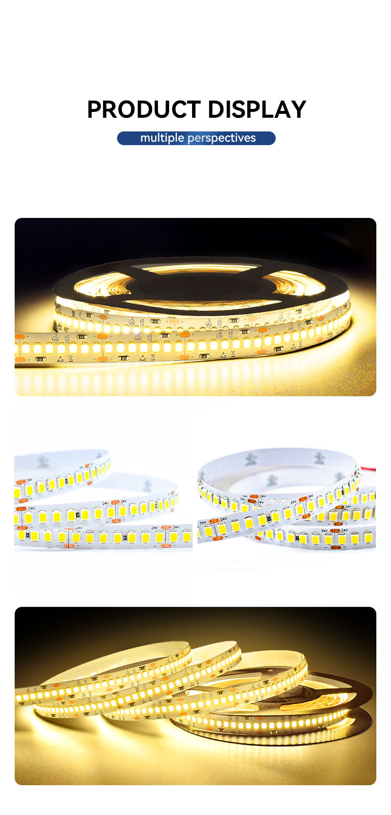 24V Single Color LED Strip Light