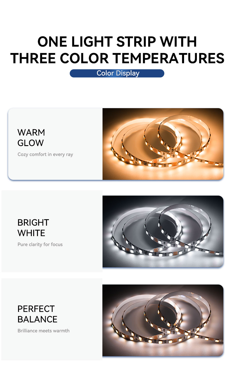 2835 Dual Color LED Strip Lights 2835 Dual Color LED Strip Lights