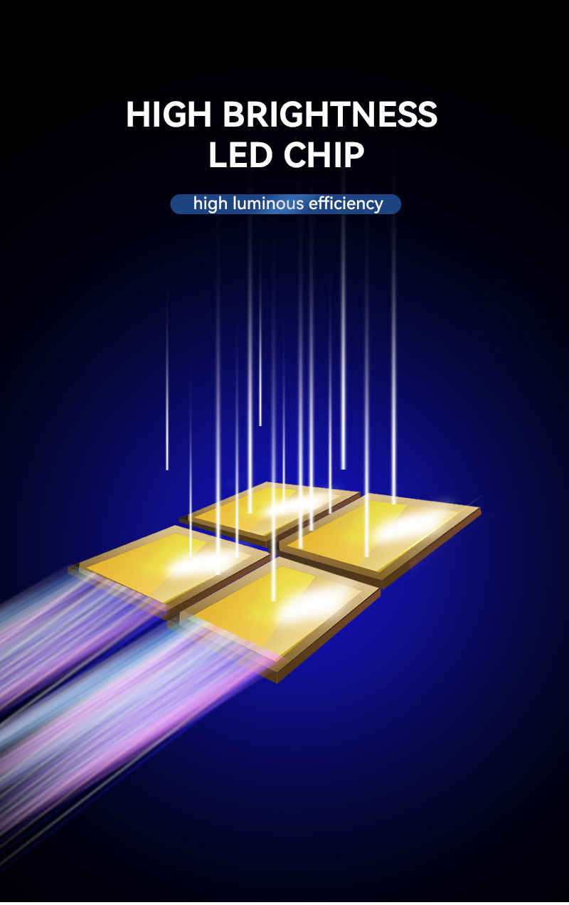 2835 Dual Color LED Strip Lights 2835 Dual Color LED Strip Lights