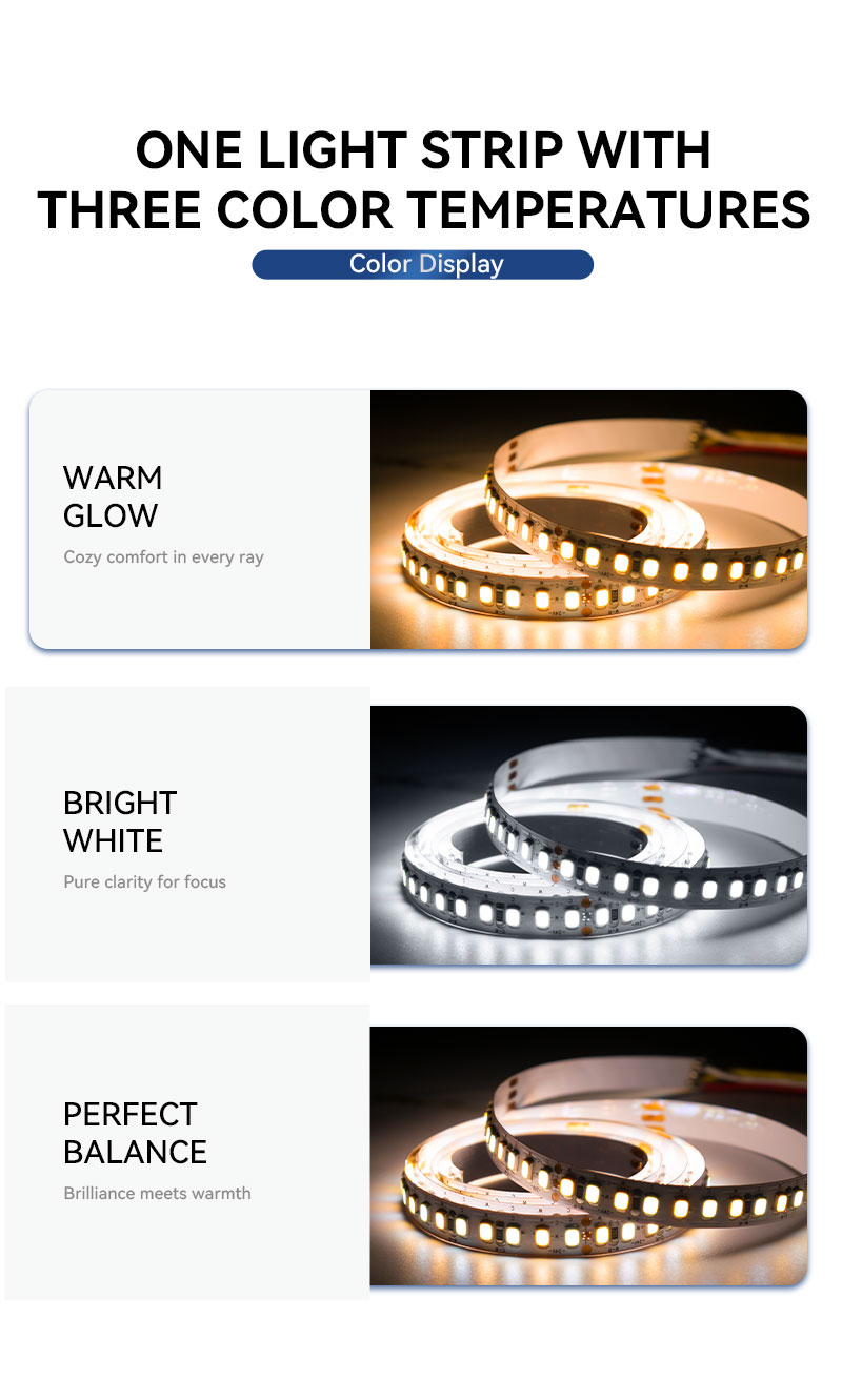 Dual White 2835 SMD LED Strip